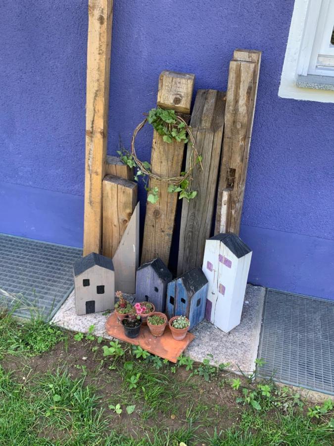 Gaensebluemchen 1 Apartment Daisy 1 Walsdorf  Dış mekan fotoğraf